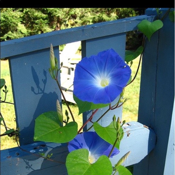 Meet your Posher, Alyssa - Picture 10 of 10